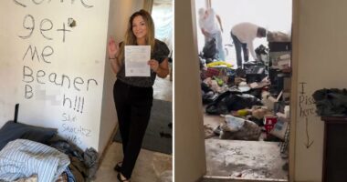 Disgusting video shows living hell left by extreme squatter â and vile message he left on the walls